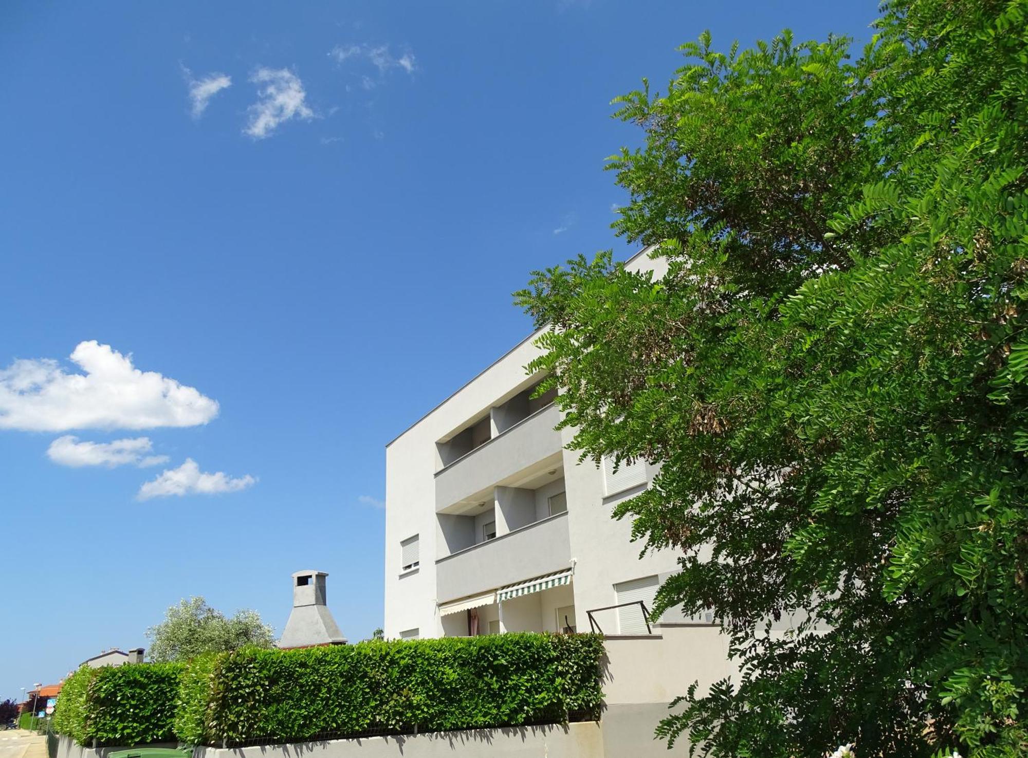 Apartment Bellavista Novigrad Istria المظهر الخارجي الصورة